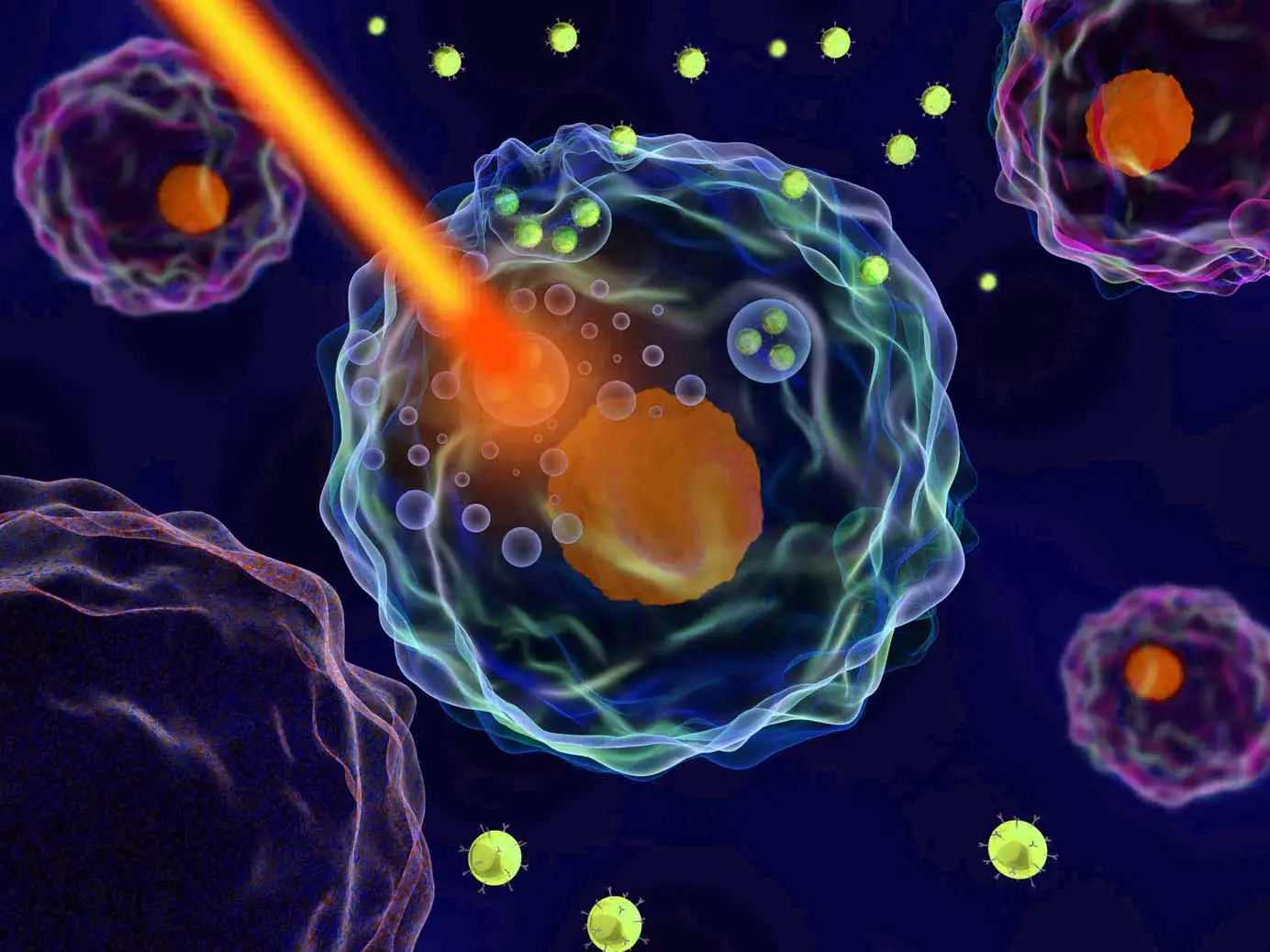 Yerel ısıya maruz kalan bir kanser hücresinin resmi