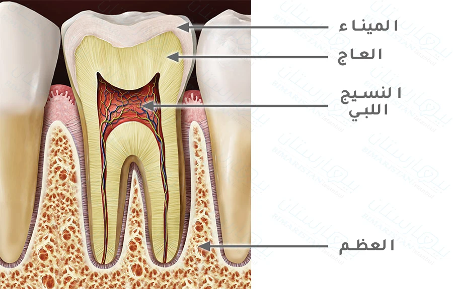 Tooth root inflammation treatment