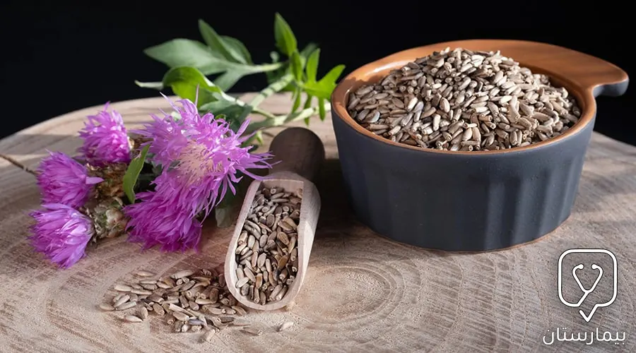A picture of milk thistle used in the herbal treatment of gynecomastia