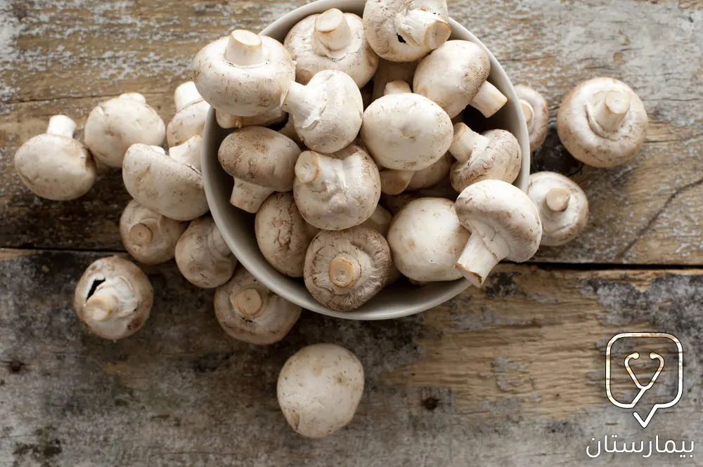 Photo of the white button mushroom used in the herbal treatment of gynecomastia