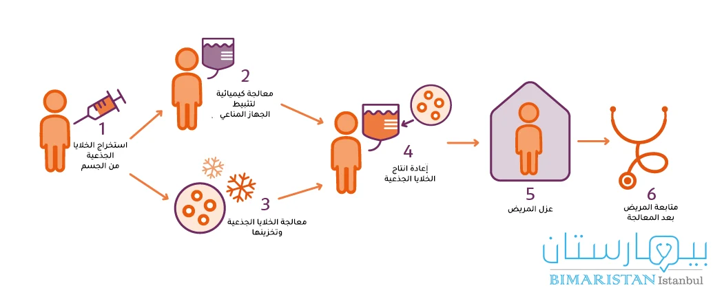 صورة توضح كيفية علاج التصلب اللويحي عبر نقل الخلايا الجذعية