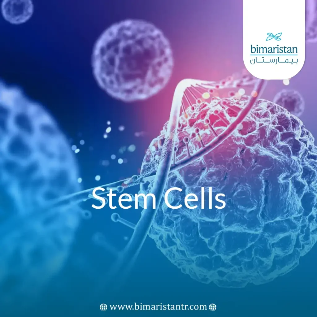 Cover image for a stem cells article